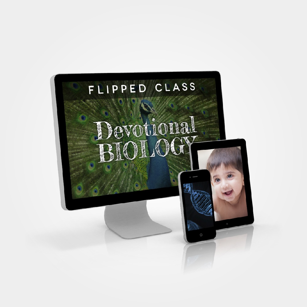 Devotional Biology - Facilitated