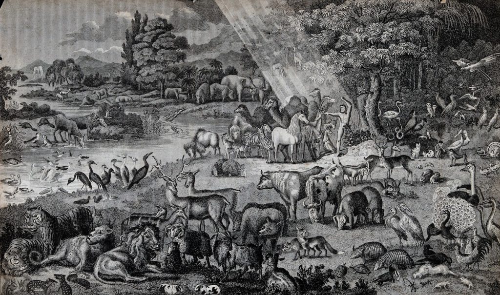 Adam naming the animals in the garden of eden