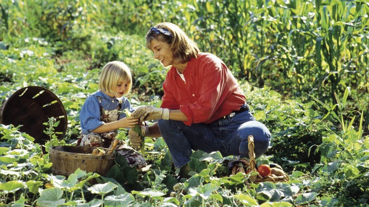 Plant Like an American Settler Garden