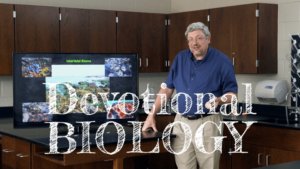 Devotional Biology Trailer