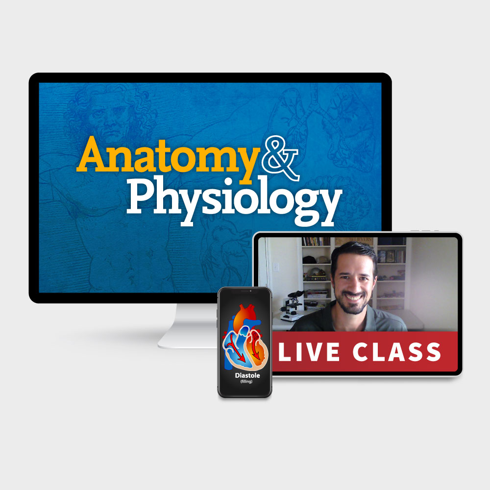 Anatomy & Physiology
