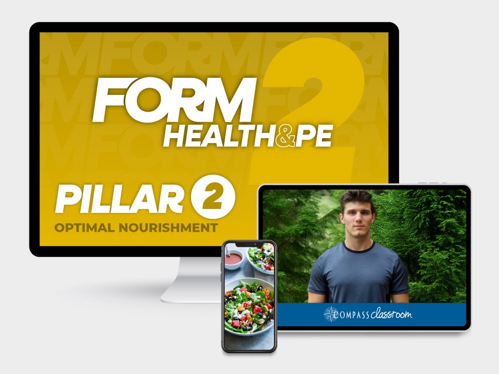 FORM Pillar 2