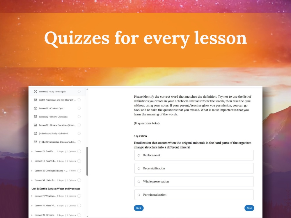 Quizzes for every lesson