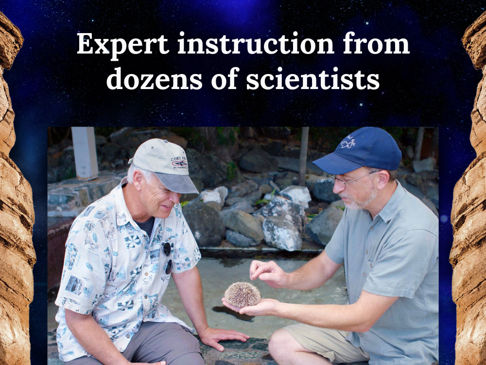 Creation Science Experts
